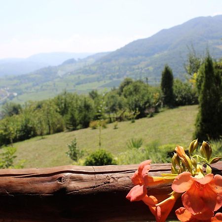 Visoko Gorani Cottage Buitenkant foto