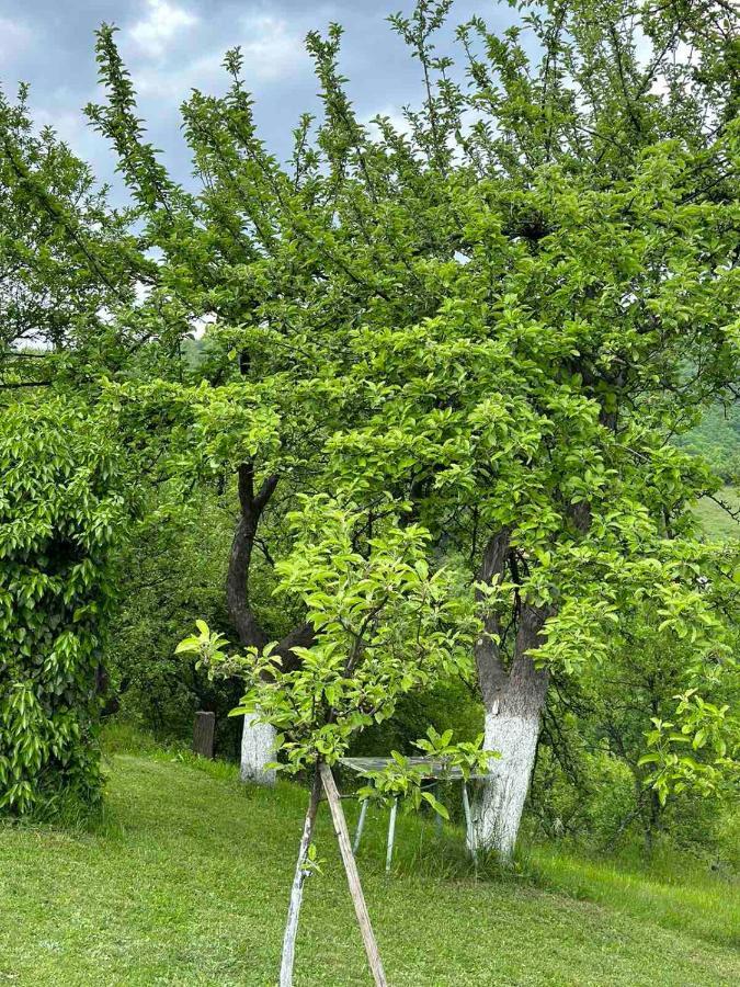 Visoko Gorani Cottage Buitenkant foto