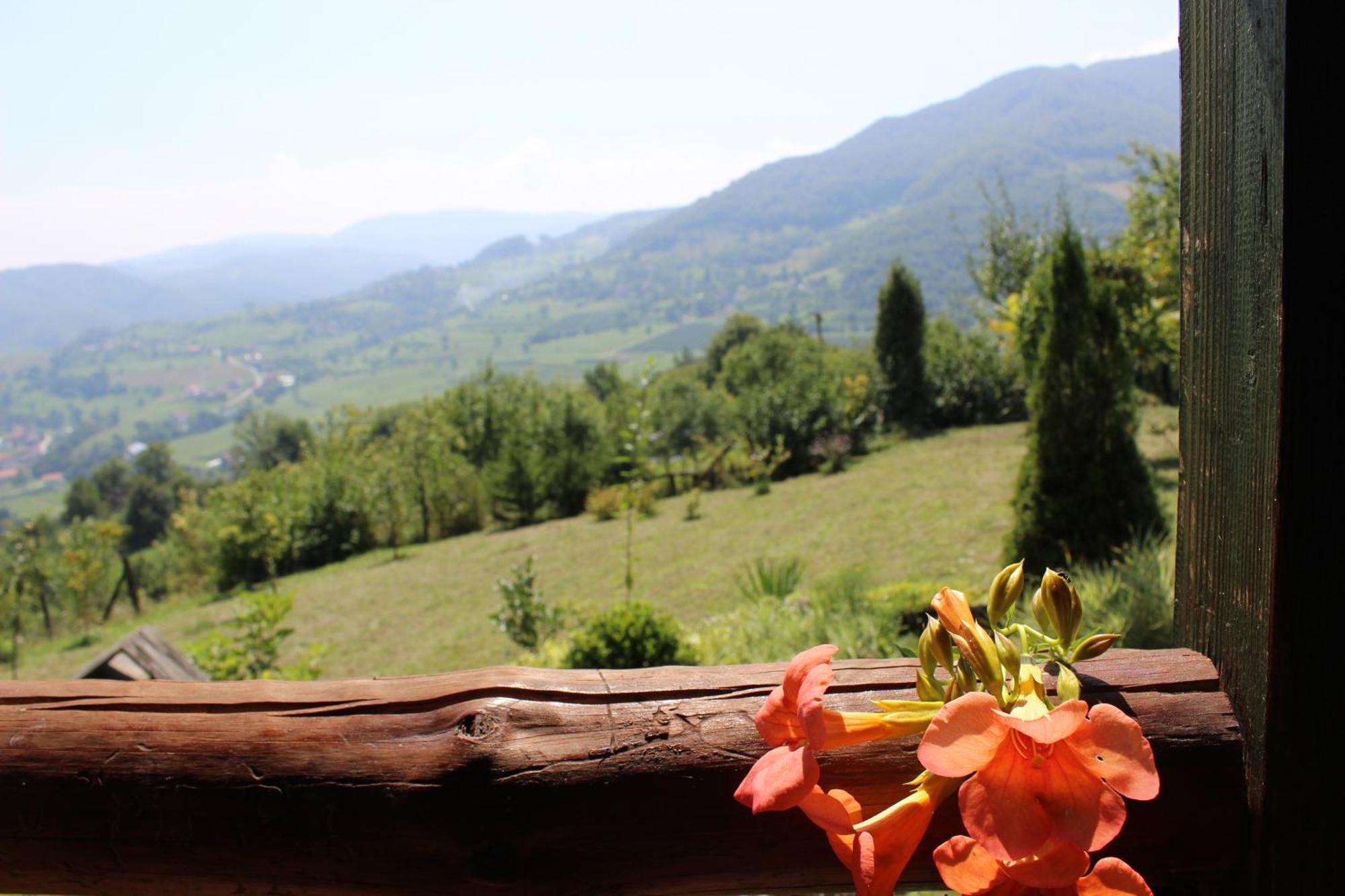 Visoko Gorani Cottage Buitenkant foto