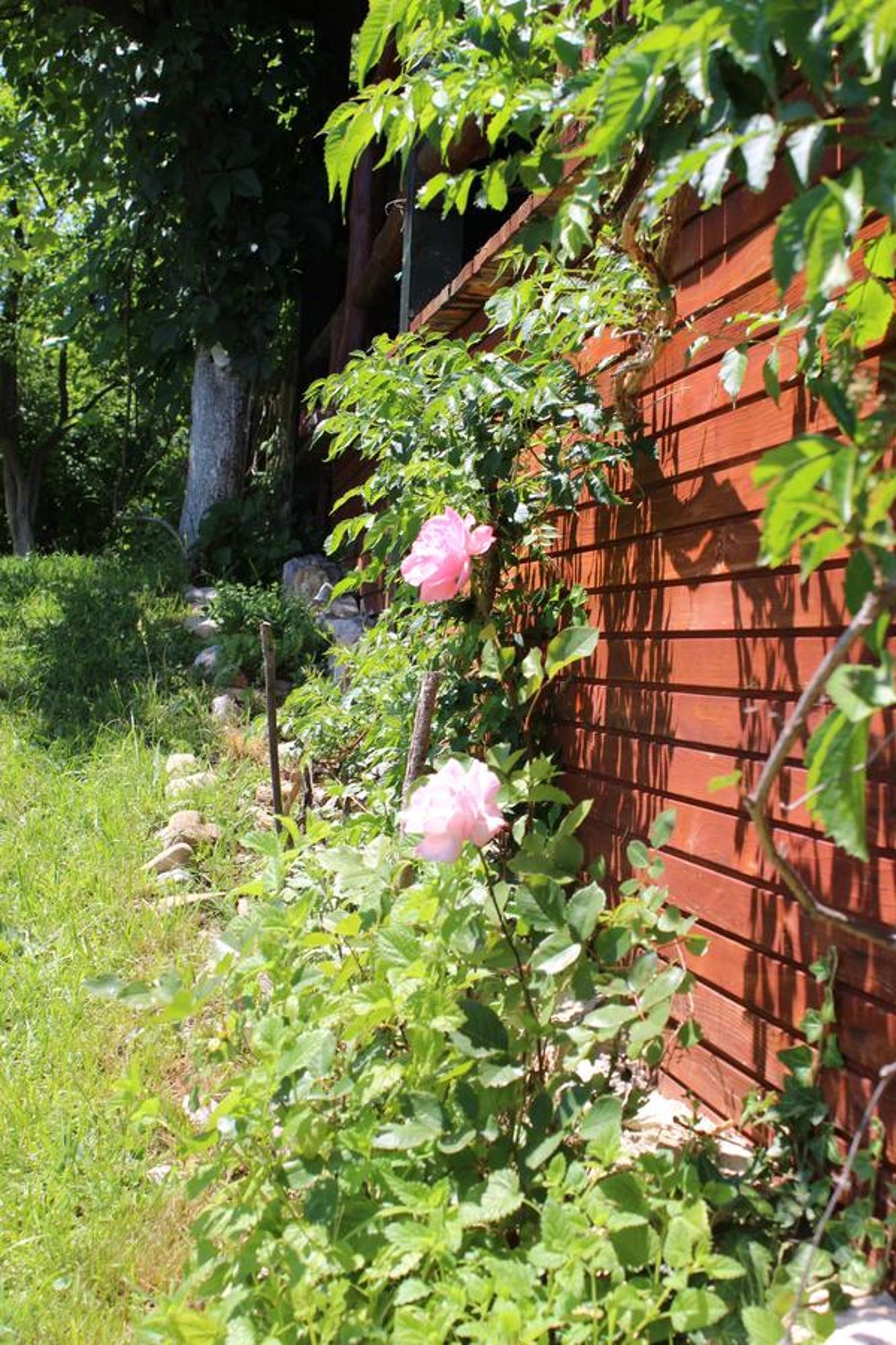 Visoko Gorani Cottage Buitenkant foto