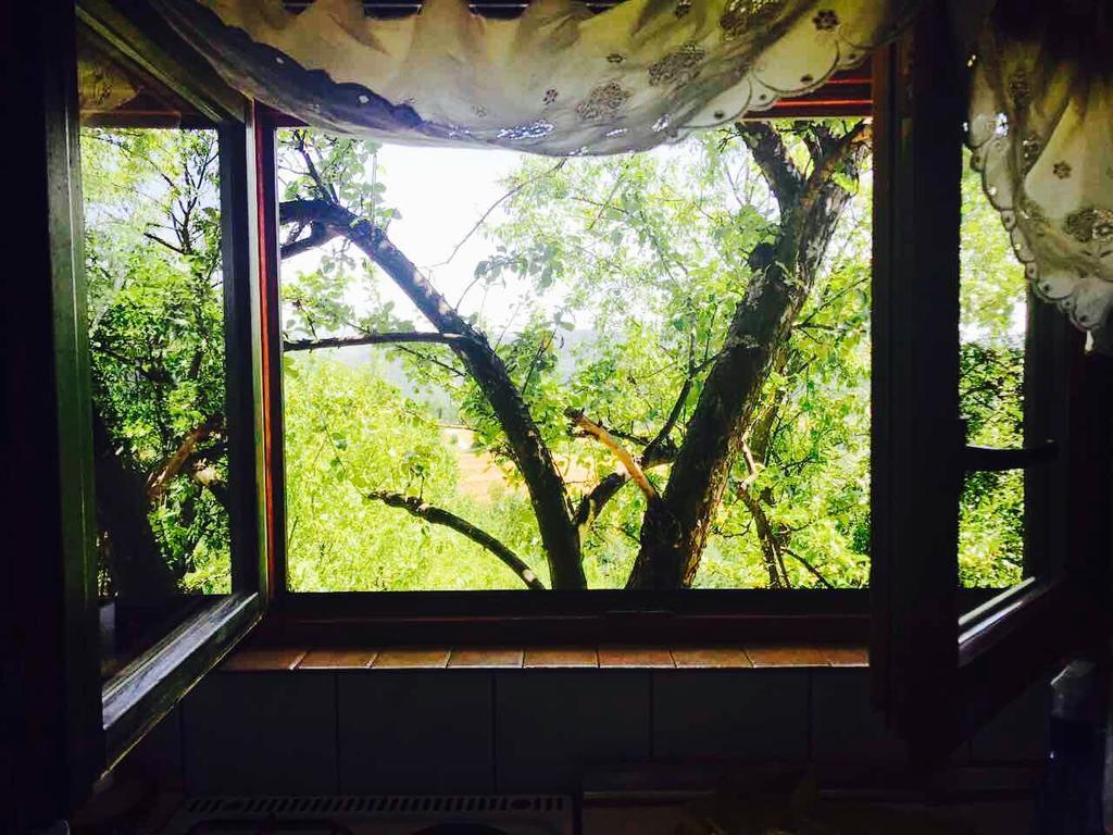 Visoko Gorani Cottage Buitenkant foto
